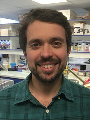 elisaldo carlini
