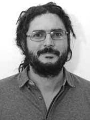 elisaldo carlini
